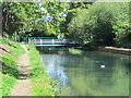 The New River south of a footbridge by Huntingdon Close, EN10 in EN10 6HX
