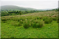 Rough grazing in Edale in S33 7ZB