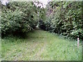 Footpath heading East from the centre of Stokepark Wood in MK16 8LW