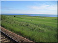 View from a Newcastle-Edinburgh train - Golf course by the sea in TD15 1TX