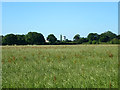 Field near Gatwick Airport in RH11 0PY