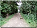 Bridleway heading South from the centre of Stokepark Wood in MK16 8LW