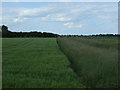 Crop field and drain in PE12 8FD