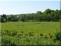 Farmland north-east of Turnditch in Alport & South West Parishes Ward