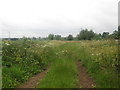 Footpath towards Repton in DE65 6PT