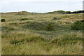 Stabilised dunes at Cabin Hill Nature Reserve, Formby in L38 8AF