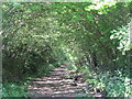 Path by Cozens Grove in EN10 7DS