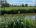 Trent & Mersey Canal near Ravenshaw Wood in WS13 8EW
