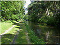 Trent & Mersey Canal at Ravenshaw Wood in WS13 8EW