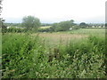 Overgrown path at Parson's Hills in South Derbyshire District