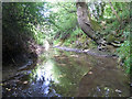 River Mole near Langley Green in RH11 7GJ