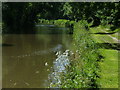 Trent & Mersey Canal near Handsacre in WS13 8HN