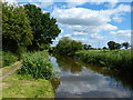 Trent & Mersey Canal near Handsacre in WS15 4FH