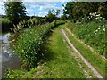 Trent & Mersey Canal and towpath near Handsacre in WS15 4FH