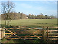 Hanbury Hall parkland in B60 4AT