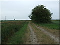Farm track off Ten Mile Bank in PE38 0EN