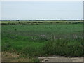 Farmland near Lowes Farm in PE38 0EN