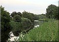 The Grantham Canal between Gamston and Bassingfield in NG12 4GB