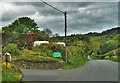 Gwaun Vale Campsite in SA65 9TA