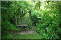 Footbridge on path near Sageston in SA70 8SG