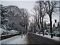 Avenue Road in the snow in WR14 3NT