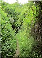 Bridleway near Broad Chalke in SP5 5ET