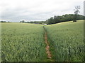 Footpath towards Home Farm, Foremark in Foremark
