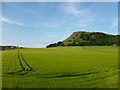Benarty Hill and farmland at East Lochran in KY4 0JA