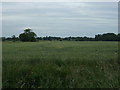 Crop field off West Dereham Road in PE33 9BA