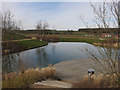 New pond, The Arboretum in CB9 7HH