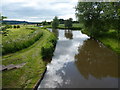 Trent & Mersey Canal north of Rugeley in WS15 2FB