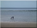 Walking the dog, North Beach, Heacham in PE31 7AP