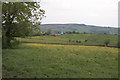 Buttercups* on Butterton Moor in ST13 7TD