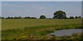 Fields and mere by the railway, north of Yockleton in SY5 9PS