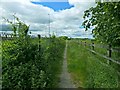 Path to Paisley Moss Local Nature Reserve in PA3 2LP