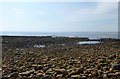 Rocky shore from Beadnell Harbour in NE67 5BJ