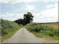 Primrose Lane near Primrose Hole, Crostwick in NR12 7BF