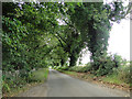 Burntwood Lane with Burnt Wood on the left in NR12 7AZ