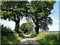 Corner Common Road near Howard's Hill in Honing