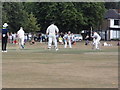 Bunbury vs Ham and Petersham CC in KT2 5BH