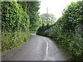 The lane to Bishopswood in TA20 3QB