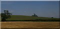 Fields north of the railway line, near Yockleton in SY5 9PS