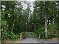 Entrance into Moorfoot Plantation in NE71 6QT