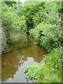Rigg Mill Beck from the footbridge in YO22 4LR