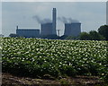 View towards the Rugeley B Power Station in WS15 3JS