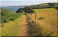 South West Coast Path in TQ12 4QN
