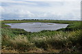 Junction Pool, Marshside RSPB reserve in PR9 9NY