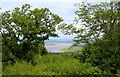 View from Arnside Knott in LA5 0EY