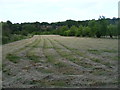 Freshly mown meadow at Millennium Wood, Duckmore Lane, Tring in HP23 4DH