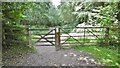 King's Copse Inclosure, gates in SO45 1XL